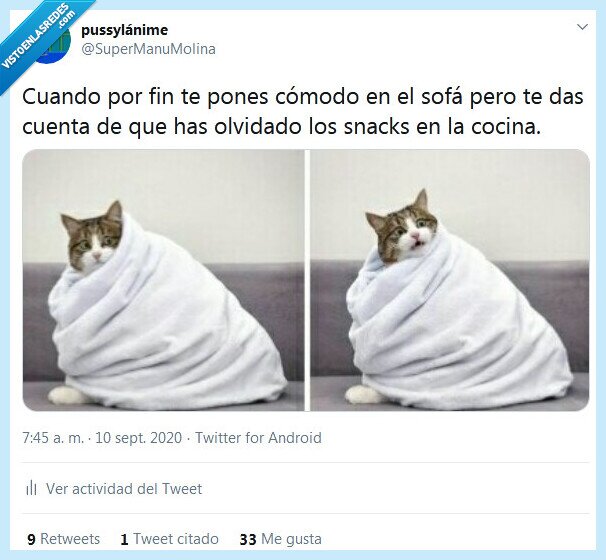 cómodo,sofá,snacks,olvidar