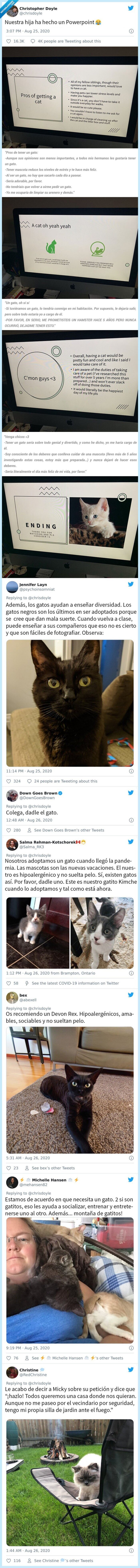 powerpoint,hija,petición,gato