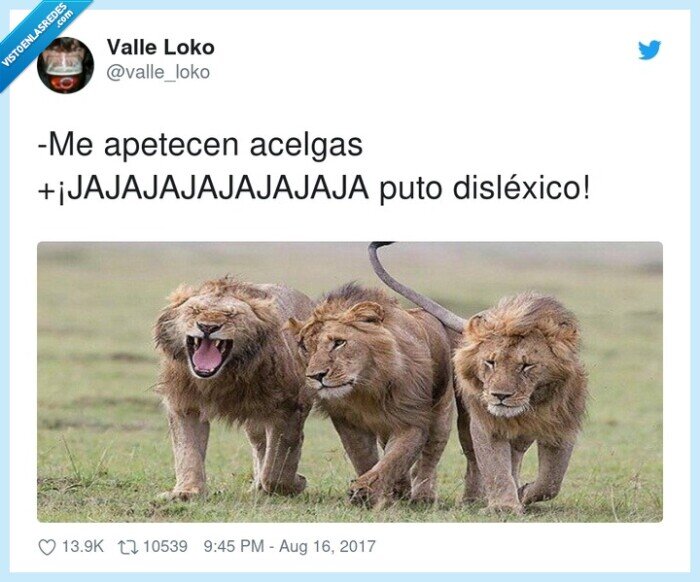 jajajajajajajaja,disléxico,apetecen,acelgas,leones