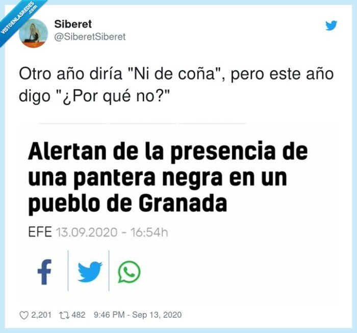 pantera negra,2020,granada