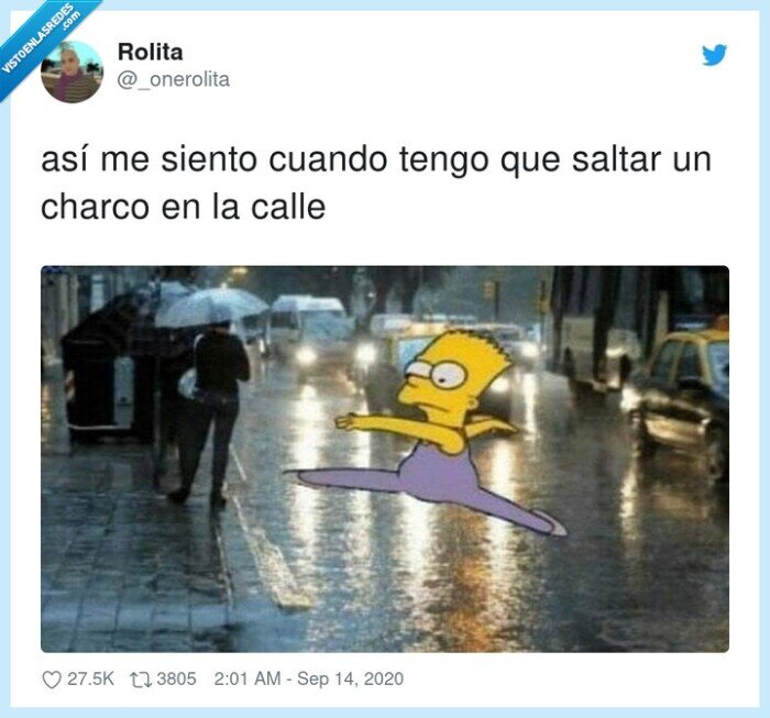 saltar,charco,bart simpson,ballet