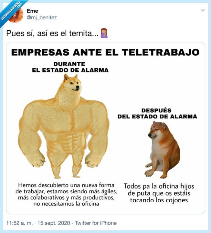 teletrabajo,jefes,oficina,chems,doge