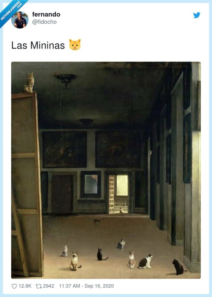 mininas,meninas,gatos