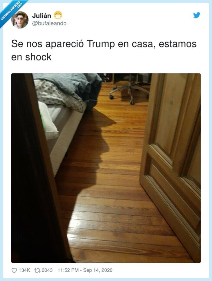donald trump,casa,shock,sombra