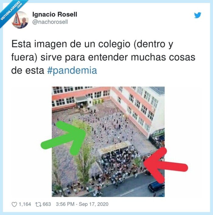 pandemia,entender,colegio,dentro,imagen,fuera