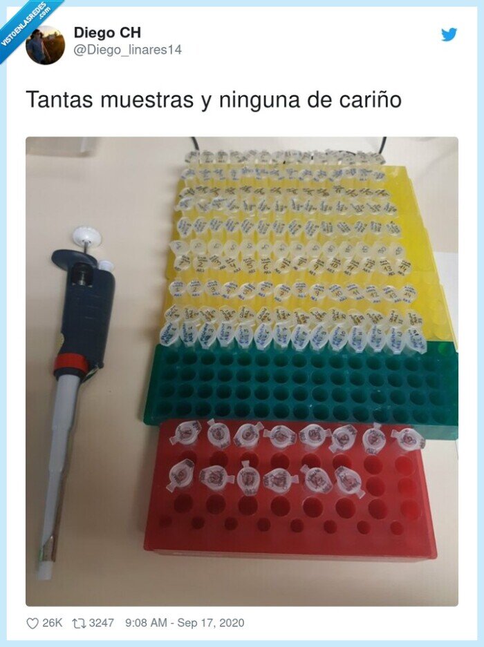 muestras,ninguna,cari&ntilde;o
