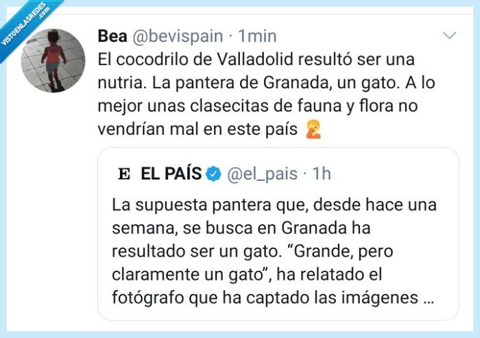 cocodrilo,pantera,gato,españa,fauna,fail