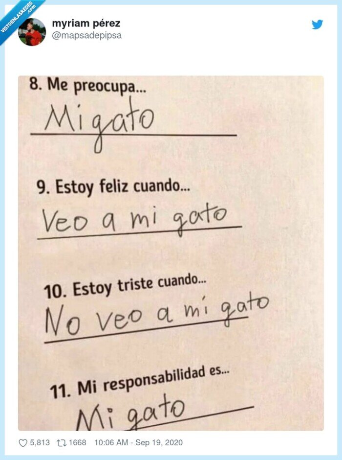 gato,prioridades,colegio,cuestionario