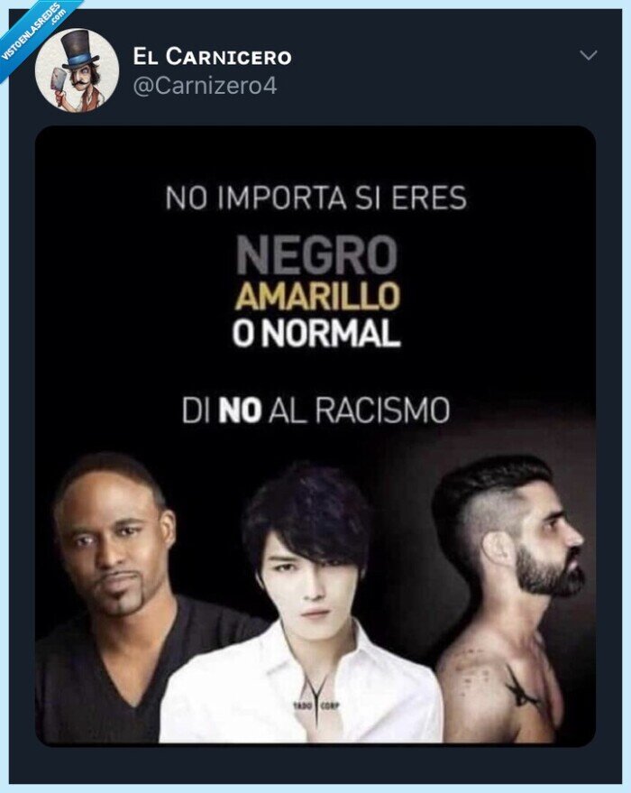 racismo,campaña,cartel,normales