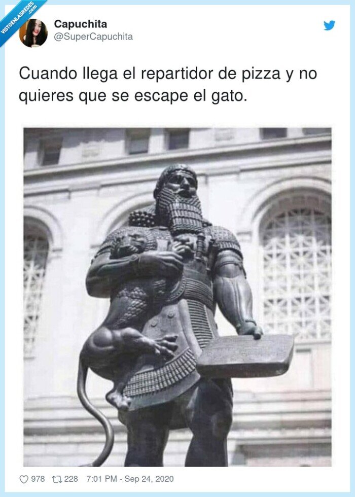 repartidor,pizza,gato,escapar