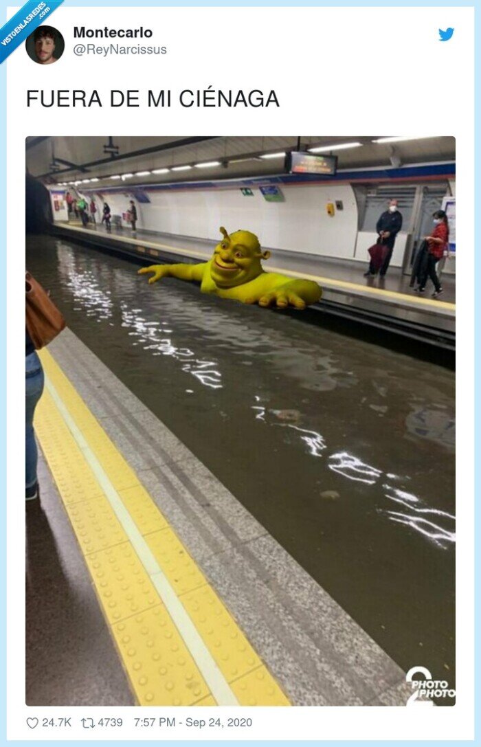 ciénaga,fuera,shreck,metro,madrid