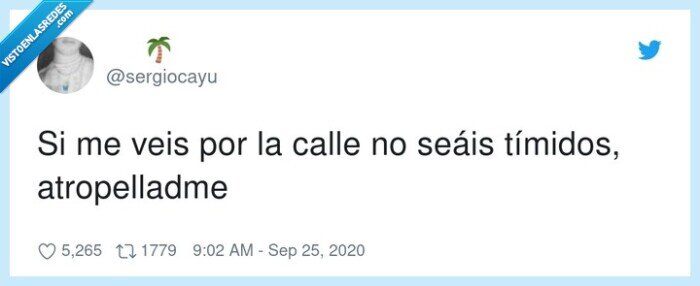 calle,coche,atropellar