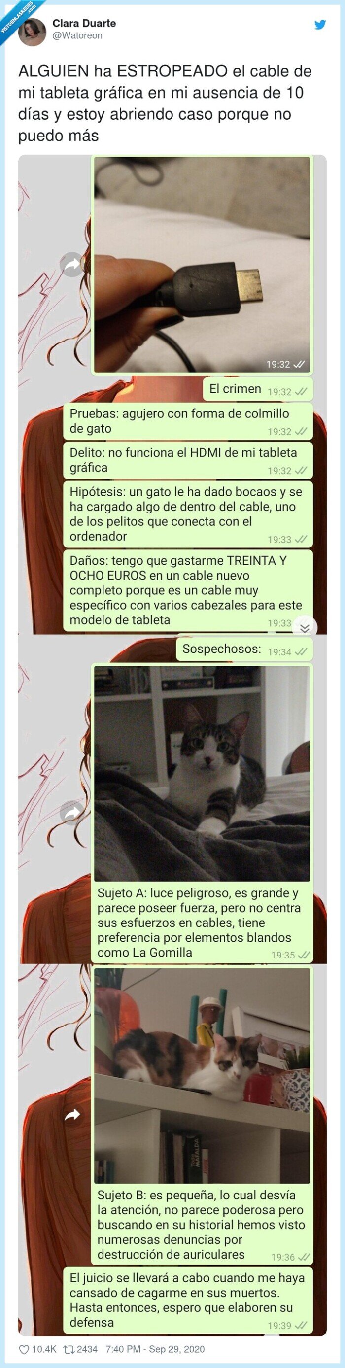 estropeado,gráfica,ausencia,abriendo,alguien,tableta