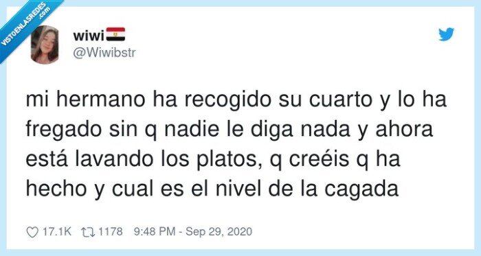 recogido,hermano,fregado,platos,lavado,cagada