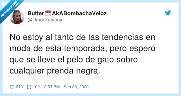 temporada,tendencias,moda,pelo,gato,prendas