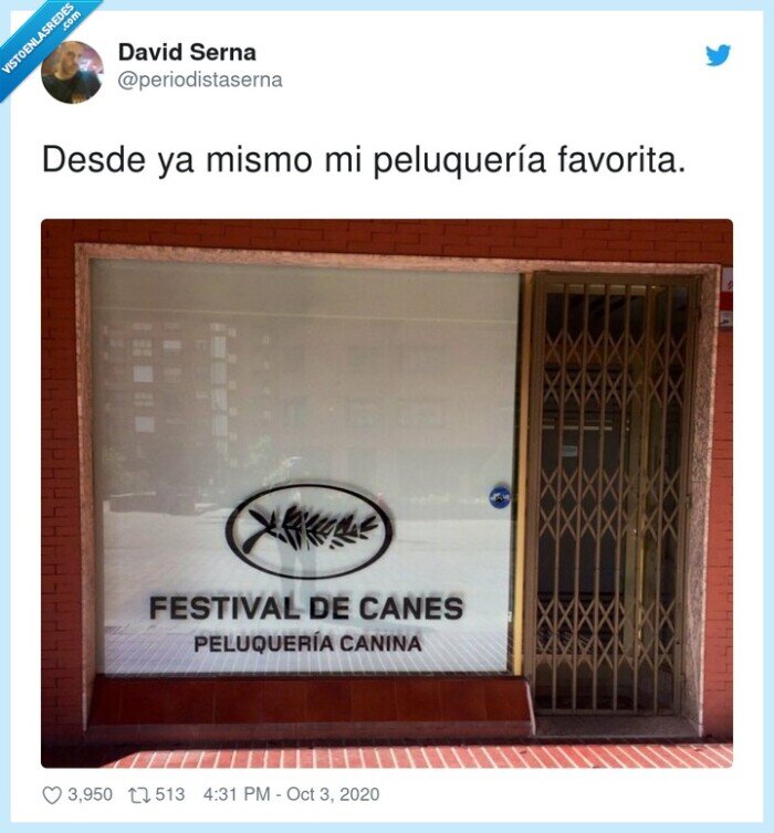 peluquer&iacute;a,festival,canes,canina