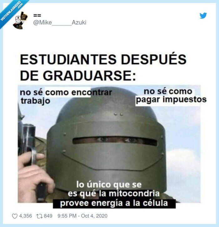 escula,vida,impuestos,trabajo,mitocondria,c&eacute;lula