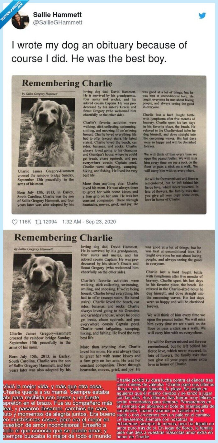 perro,obituario,dueña,twitter