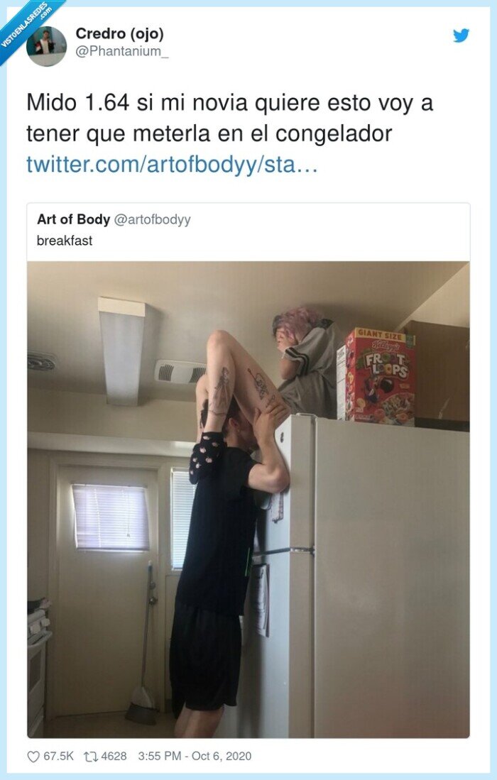 congelador,novia,nevera,medir