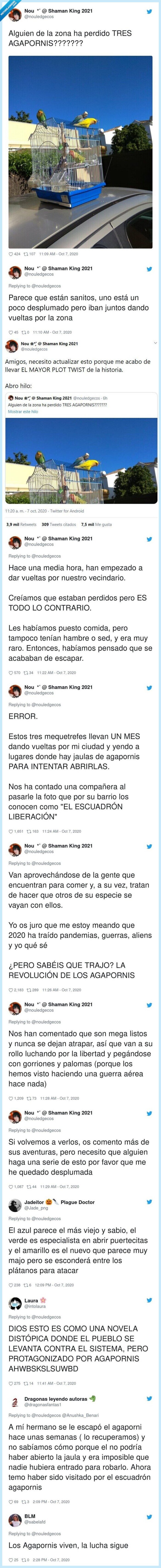 pájaros,ejército,escuadrón,liberadores,hilo,twitter