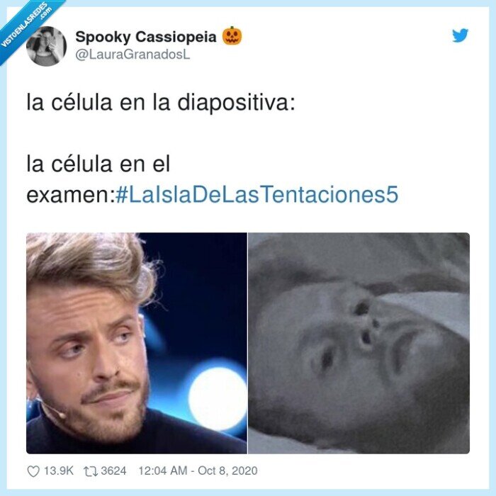 isla,tentaciones,diapositiva,célula,examen