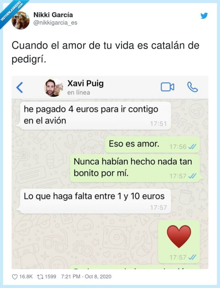 catalán,pedigrí,viaje,avión,dinero,lado,vuelo