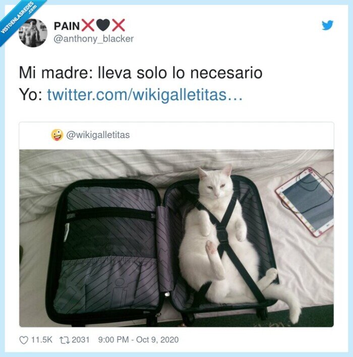 necesario,madre,gato,equipaje