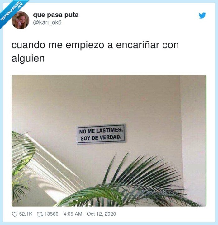 encariñar,lastimar,verdad,relación,palmera