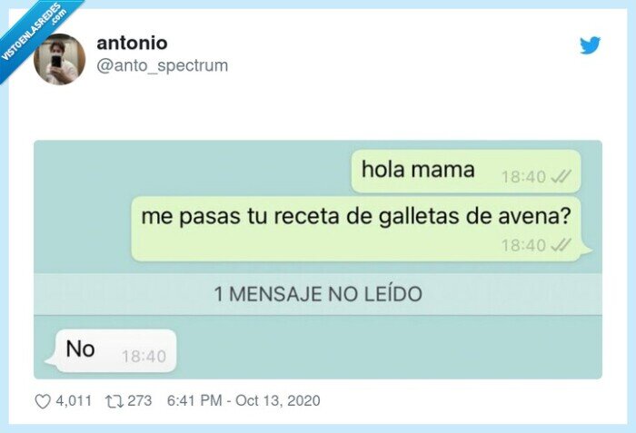 receta,madre,galletas,avena