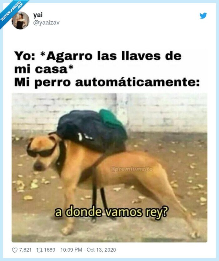 perro,llaves,casa