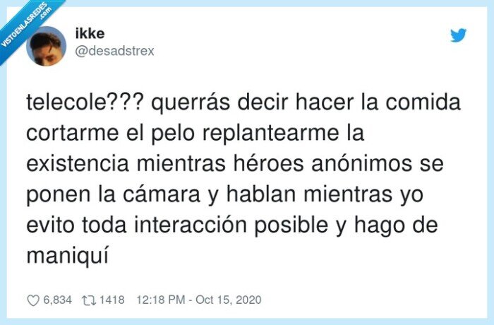 telecole,clase,online,pelo,cámara,interacción