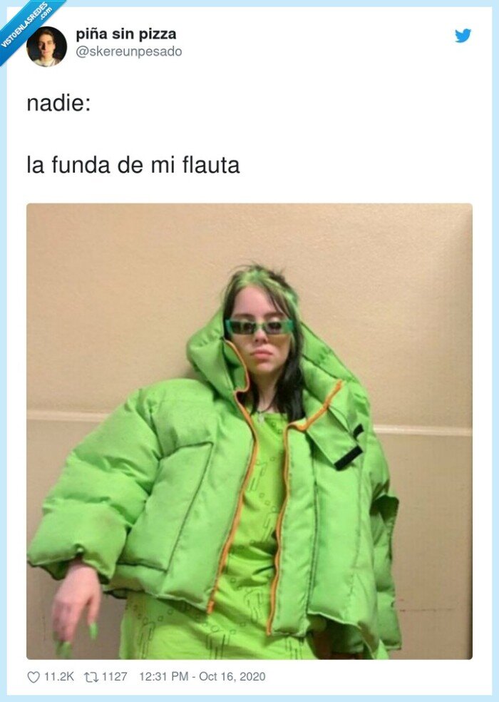 flauta,funda,verde