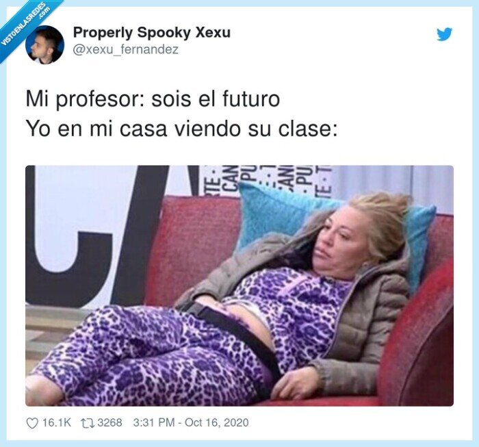 profesor,futuro,viendo,clase,casa