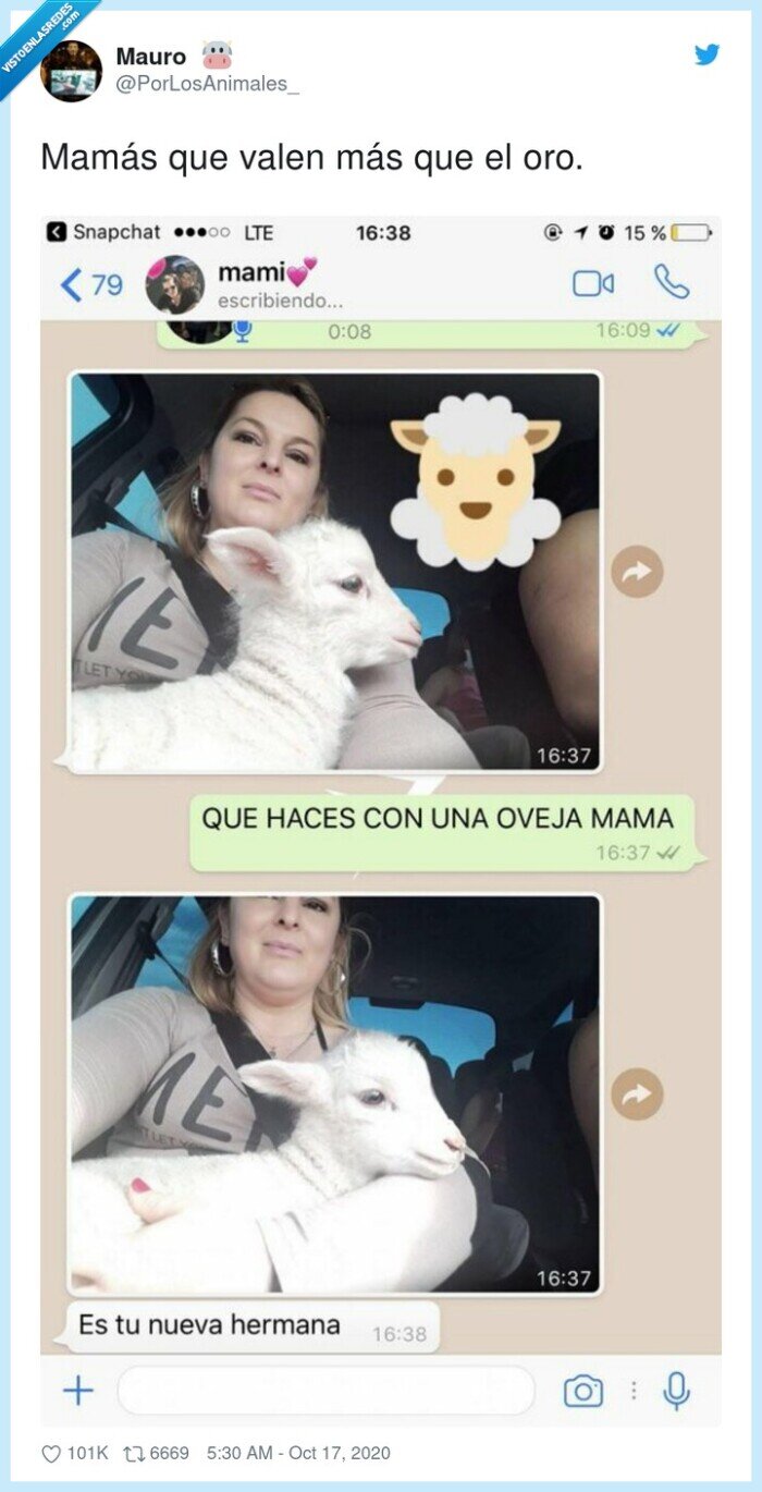 mamá,oveja,hermana,familia