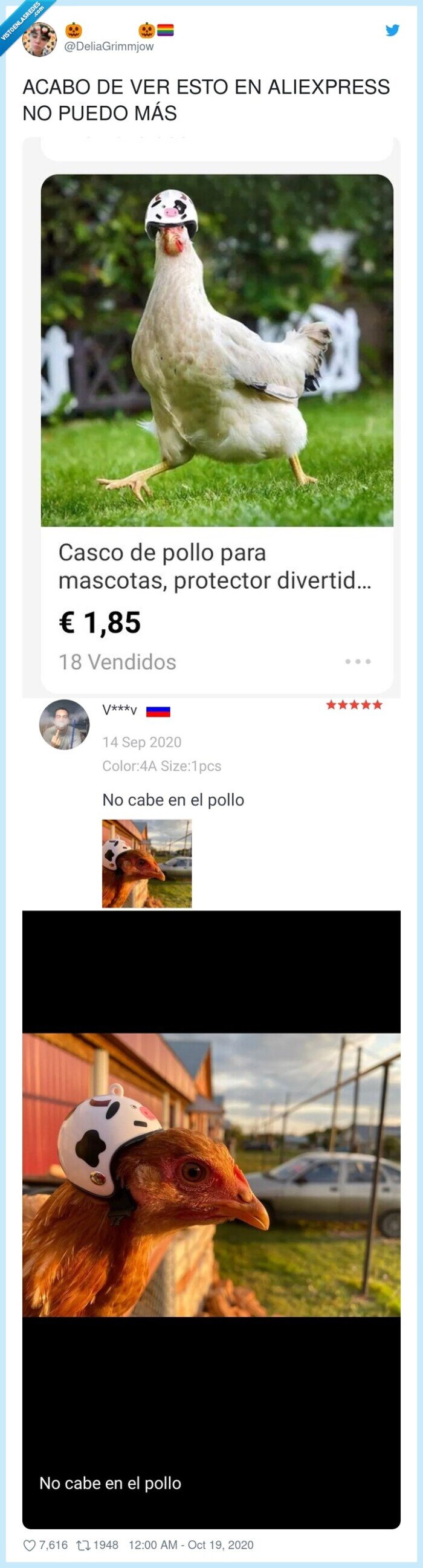 cascos,pollo,gallina,aliexpress