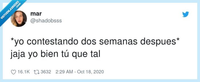 contestando,después,semanas,conversación,whatsapp
