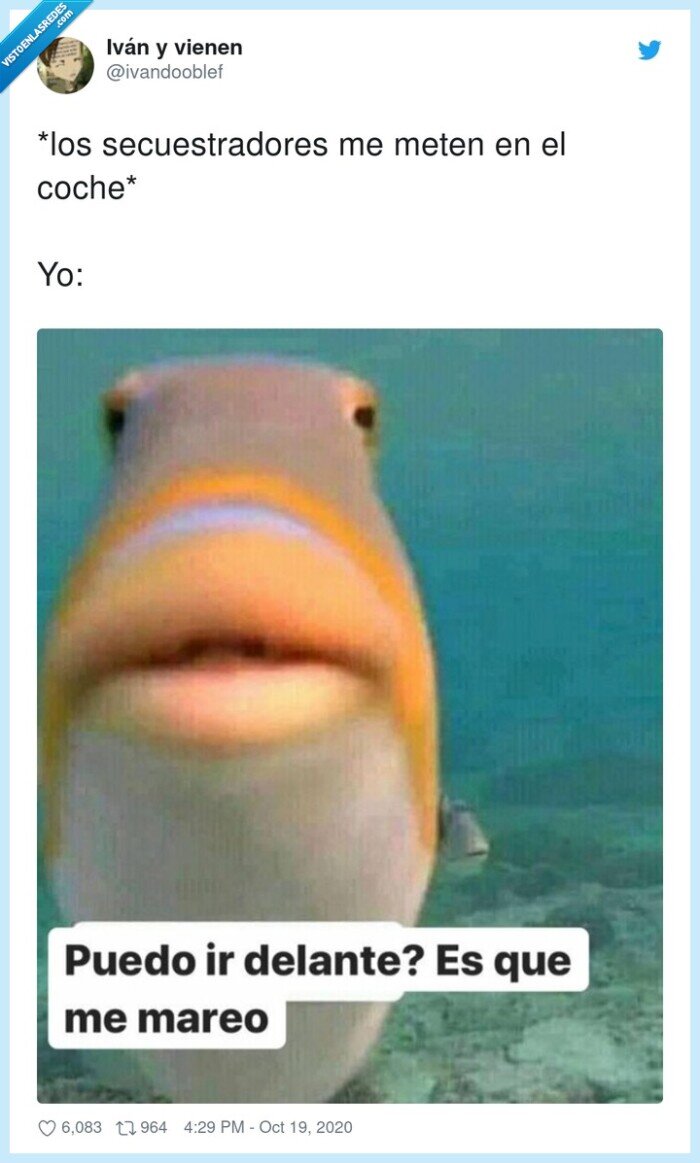 secuestradores,coche,delante,mareos