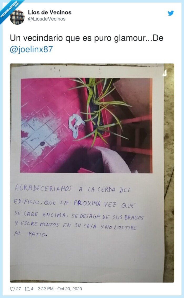 vecinos,balc&oacute;n,mierda,bragas,casa,patio