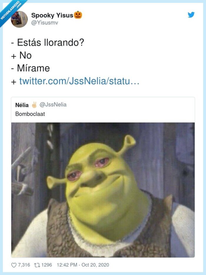 llorar,mirar,lágrimas,shreck