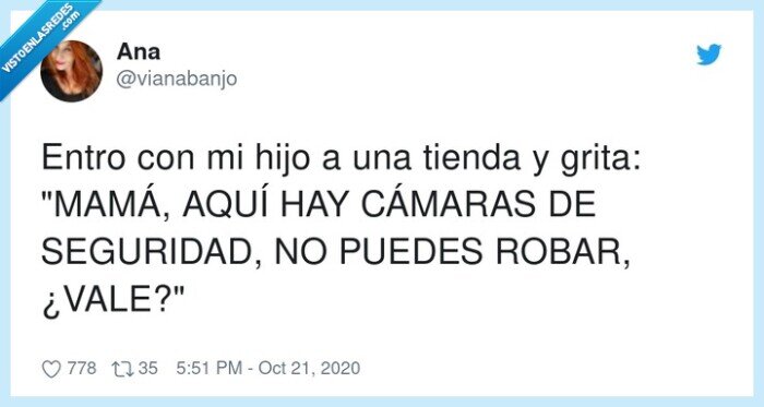 seguridad,cámaras,mamá,tienda,robar