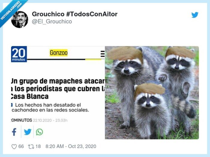 mapaches,periodistas,casa,blanca,trump,ataque