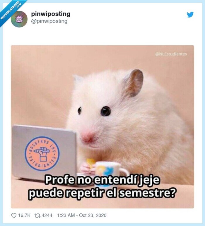 curso,semestre,profe,clases,online