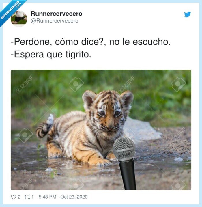 tigrito,tigre