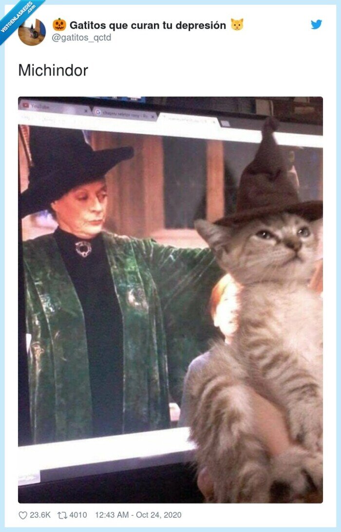 michindor,griffindor,harry,potter,michis,gatos