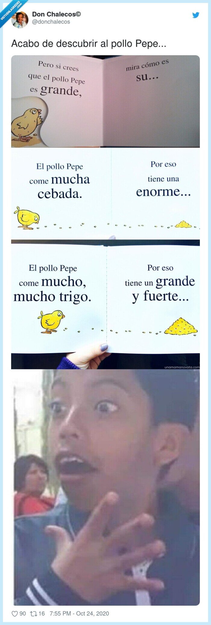 libro,infantil,pollo,pepe