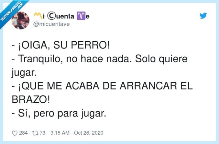 tranquilo,arrancar,perro,jugar