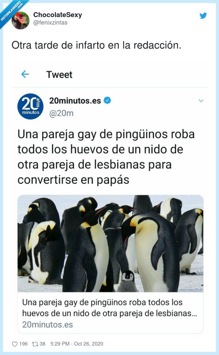redacción,infarto,20minutos,pingüinos,gays,lesbianas,huevos