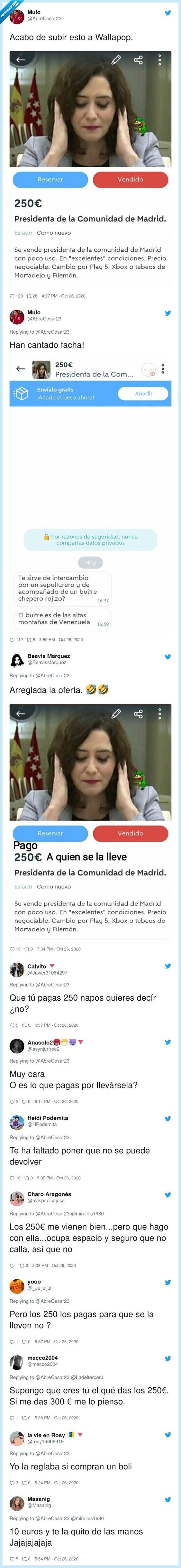 ayuso,wallapop,venta,respuestas,precio