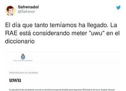 Enlace a La RAE se está convirtiendo en una pesadilla para los boomers , por @Safrenor