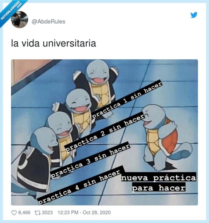 vida,universitaria,prácticas,squirtle